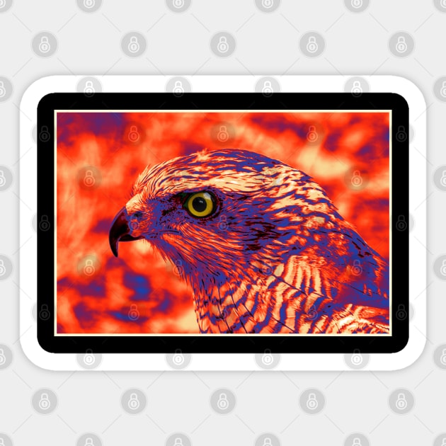 Falcon Head 1 Sticker by Korvus78